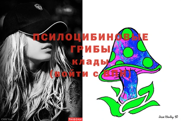 спайс Баксан