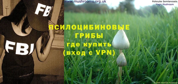 молекула духа Балабаново