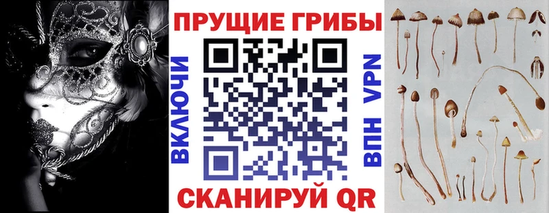 где найти   Нерюнгри  Галлюциногенные грибы мухоморы 