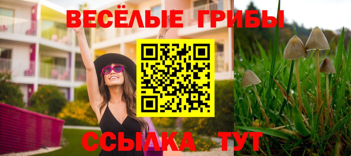Псилоцибиновые грибы мухоморы Нерюнгри