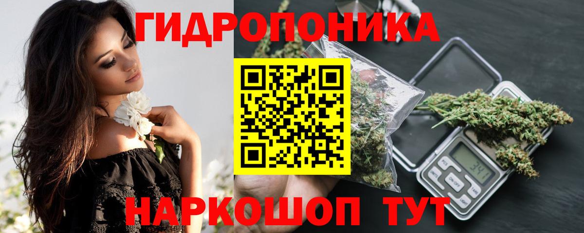Бошки марихуана ГИДРОПОН Нерюнгри